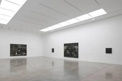 Installation view White Cube Mason's Yard Cinga Samson "Nzulu yemfihlakalo"