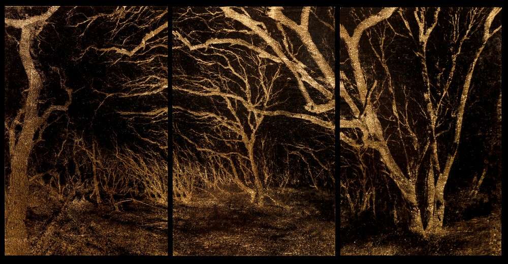 From life to death, a visual dialogue with the traditions of Benin between Eric Bottero and Gopal Amah at the Galerie Vallois